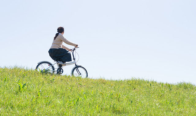 Q6. 自動車事故に備える保険に入りたい場合は？